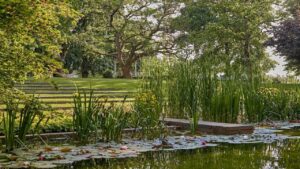 Fondation Beyeler Names First Botanical Curator in Historic Move Backed by Chanel Culture Fund