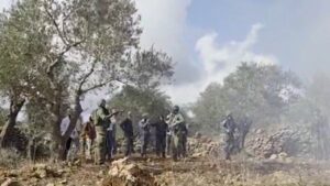 Savage Beatings and Dying Trees: How West Bank Settler Violence Is Destroying Palestinian Olive Harvests