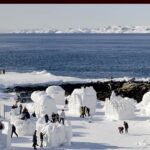 Trump Insists US Control of Greenland Is Non-Negotiable